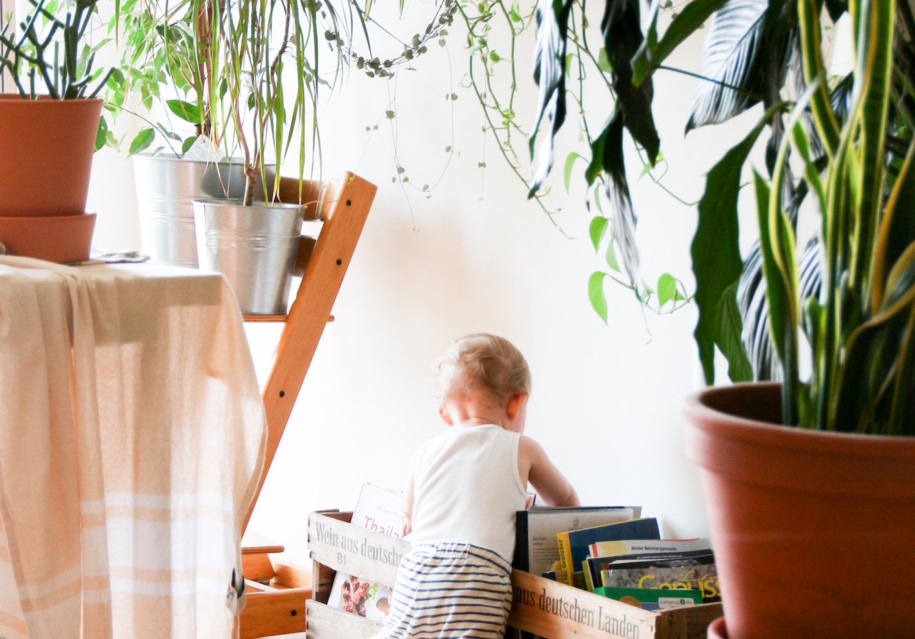 kamar anak dengan tanaman