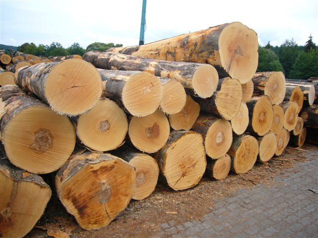proses produksi furniture kayu log